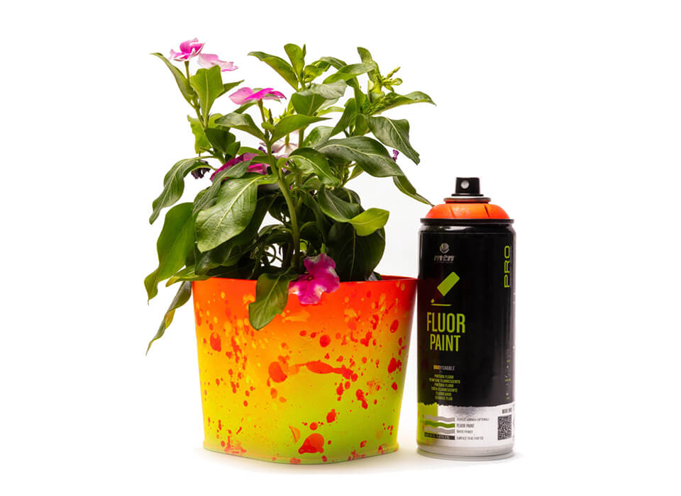 MTN PRO FLUOR-SPRAY